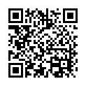 To view this 2012 Jeep Patriot Sewell NJ from Pallies Auto Sales, please scan this QR code with your smartphone or tablet to view the mobile version of this page.