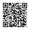 To view this 2007 Honda Civic Sewell NJ from Pallies Auto Sales, please scan this QR code with your smartphone or tablet to view the mobile version of this page.