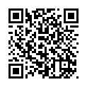 To view this 2012 Kia Sedona Sewell NJ from Pallies Auto Sales, please scan this QR code with your smartphone or tablet to view the mobile version of this page.