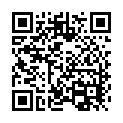 To view this 2010 Kia Sedona Sewell NJ from Pallies Auto Sales, please scan this QR code with your smartphone or tablet to view the mobile version of this page.