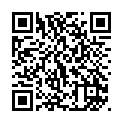 To view this 2009 Nissan Rogue Sewell NJ from Pallies Auto Sales, please scan this QR code with your smartphone or tablet to view the mobile version of this page.