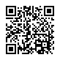 To view this 2008 Hyundai Accent Sewell NJ from Pallies Auto Sales, please scan this QR code with your smartphone or tablet to view the mobile version of this page.