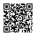 To view this 2008 Hyundai Elantra Sewell NJ from Pallies Auto Sales, please scan this QR code with your smartphone or tablet to view the mobile version of this page.