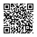 To view this 2010 Honda Accord Sewell NJ from Pallies Auto Sales, please scan this QR code with your smartphone or tablet to view the mobile version of this page.
