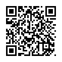 To view this 2013 Ford Edge Sewell NJ from Pallies Auto Sales, please scan this QR code with your smartphone or tablet to view the mobile version of this page.