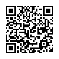 To view this 2008 Ford Fusion Sewell NJ from Pallies Auto Sales, please scan this QR code with your smartphone or tablet to view the mobile version of this page.