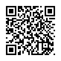 To view this 2010 Ford Focus Sewell NJ from Pallies Auto Sales, please scan this QR code with your smartphone or tablet to view the mobile version of this page.