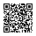 To view this 2009 Ford Fusion Sewell NJ from Pallies Auto Sales, please scan this QR code with your smartphone or tablet to view the mobile version of this page.