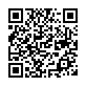 To view this 2007 Saturn Aura Sewell NJ from Pallies Auto Sales, please scan this QR code with your smartphone or tablet to view the mobile version of this page.