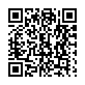 To view this 2012 Kia Sedona Sewell NJ from Pallies Auto Sales, please scan this QR code with your smartphone or tablet to view the mobile version of this page.