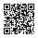 To view this 2013 Chevrolet Spark Sewell NJ from Pallies Auto Sales, please scan this QR code with your smartphone or tablet to view the mobile version of this page.