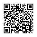 To view this 2009 Kia Sedona Sewell NJ from Pallies Auto Sales, please scan this QR code with your smartphone or tablet to view the mobile version of this page.