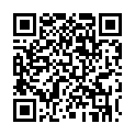 To view this 2008 Mercury Milan Sewell NJ from Pallies Auto Sales, please scan this QR code with your smartphone or tablet to view the mobile version of this page.