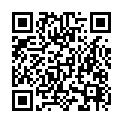 To view this 2009 Ford Edge Sewell NJ from Pallies Auto Sales, please scan this QR code with your smartphone or tablet to view the mobile version of this page.