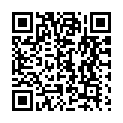 To view this 2011 Ford Taurus Sewell NJ from Pallies Auto Sales, please scan this QR code with your smartphone or tablet to view the mobile version of this page.