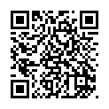 To view this 2011 Honda Accord Sewell NJ from Pallies Auto Sales, please scan this QR code with your smartphone or tablet to view the mobile version of this page.